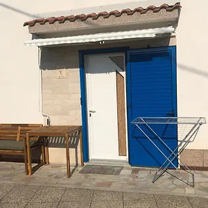 Olive Tree Umag
